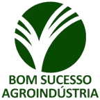 Bom Sucesso